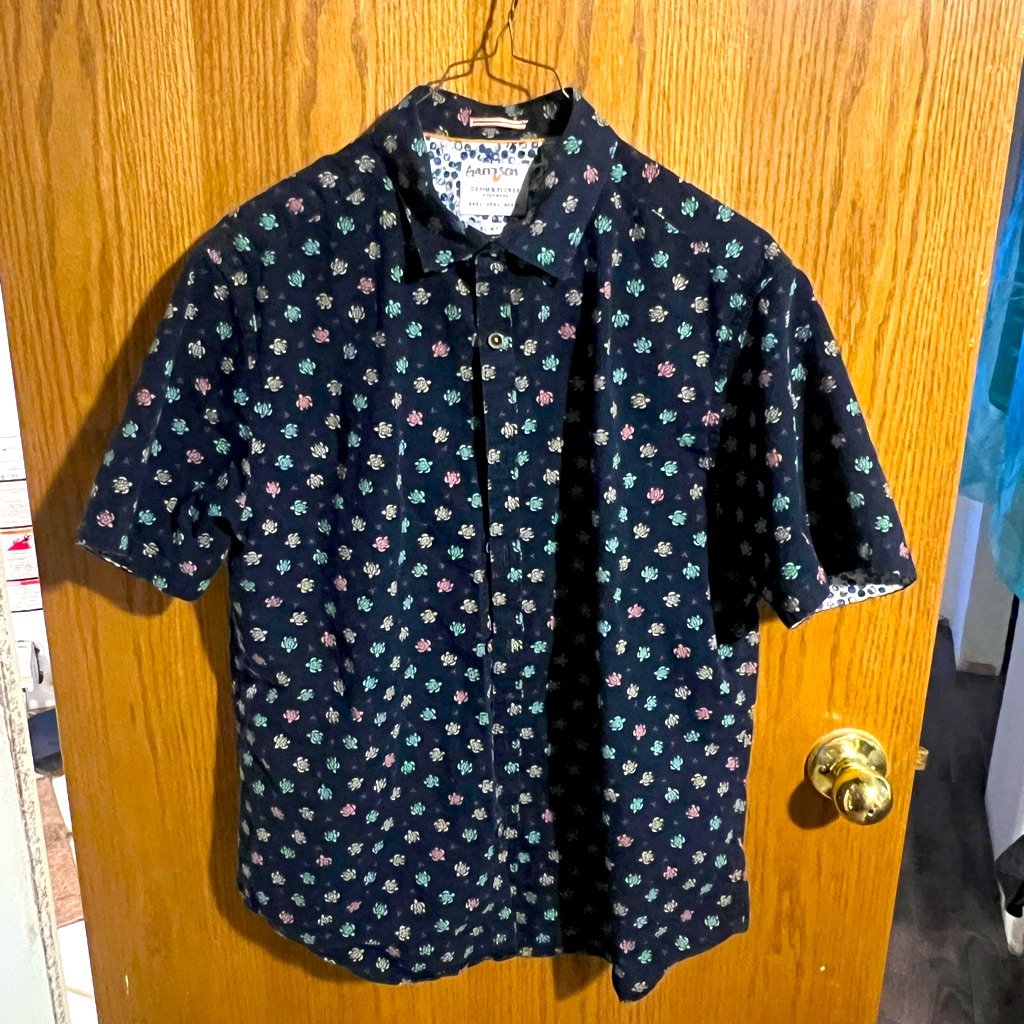 Turtle Button Down